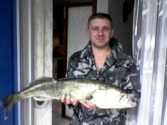 --�������� - ������� (����������)