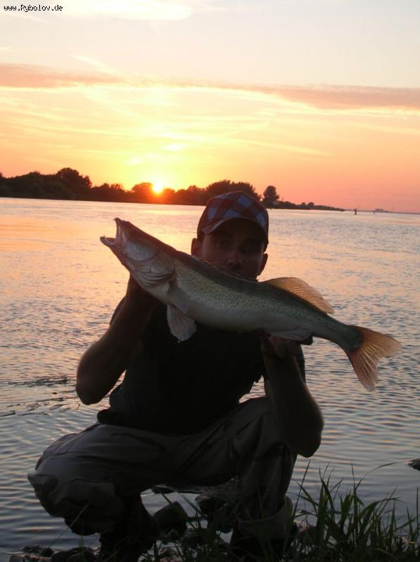 --Holland August 2010 - ������� (����������)