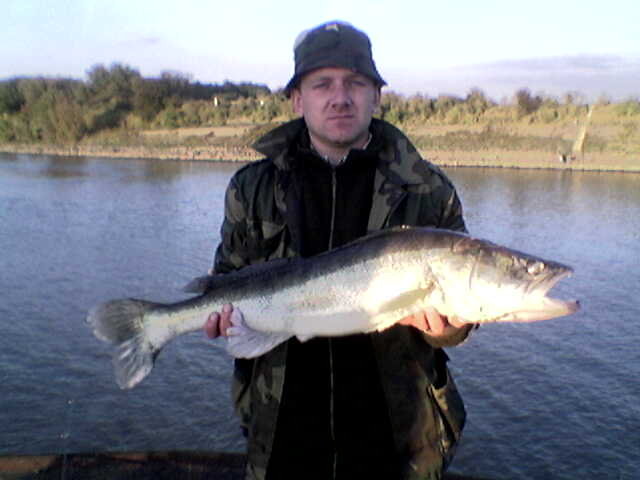 --����� ��� �� ����� ������� - ������� (����������)