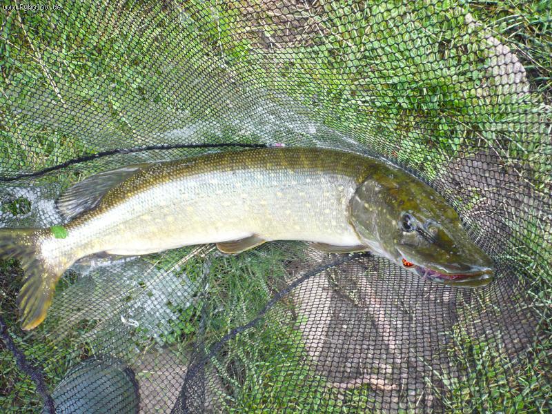 --����� � ����. - ������� (����������)