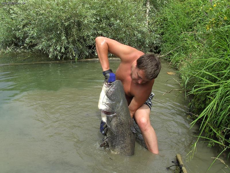 --somik 2010 - ������� (����������)