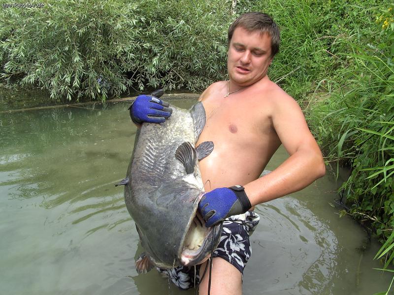 --on-ge - ������� (����������)