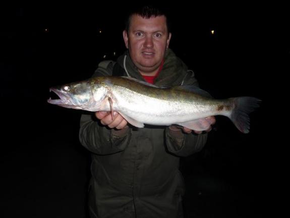 --�������� �������� ������. - ������� (����������)