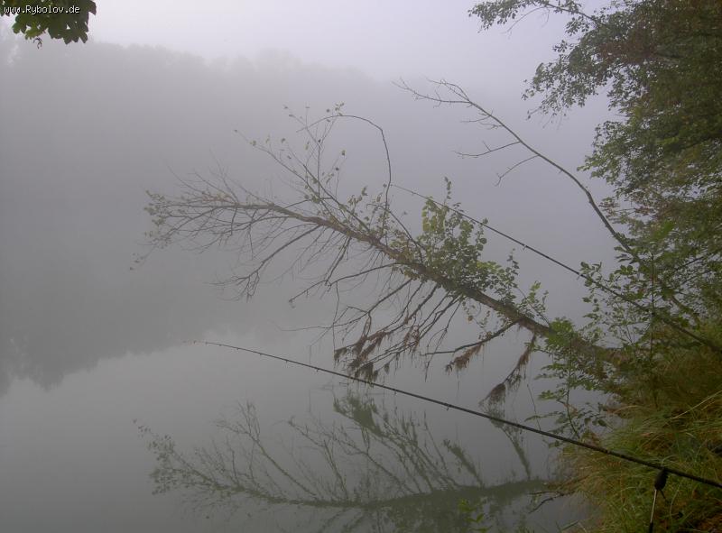 --������������ ����. - ������� (����������)