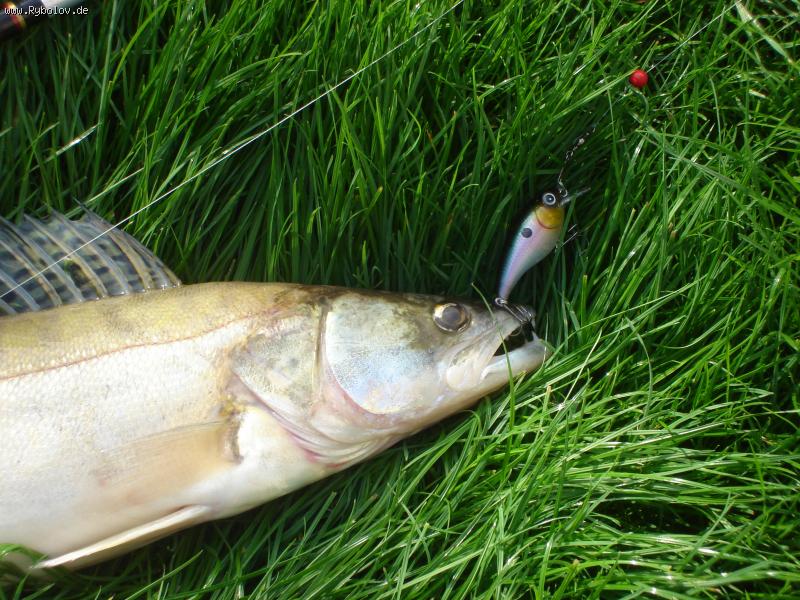 --����� - ������� (����������)