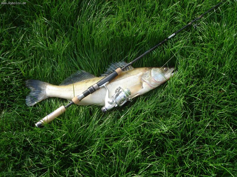 --����� - ������� (����������)