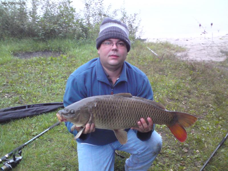 --���� � �������� - ������� (����������)