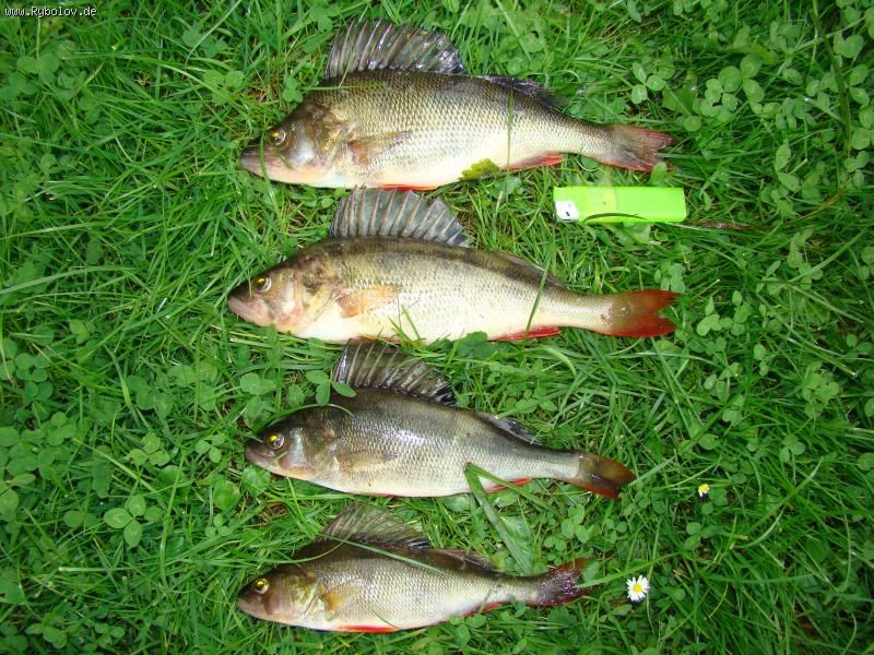 --������� � ����. - ������� (����������)