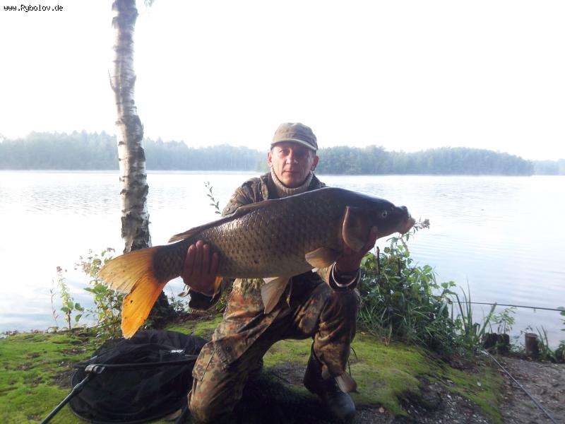 --10.100 �� - ������� (����������)