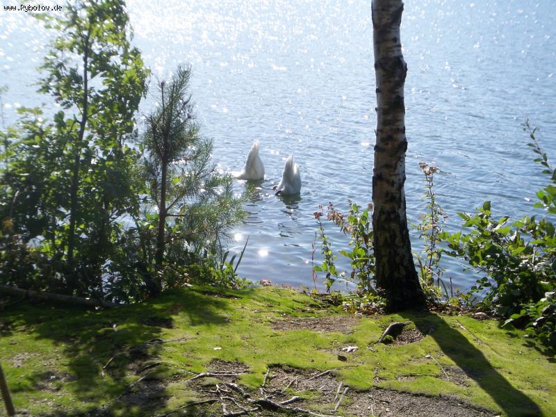 --������� - ������� (����������)