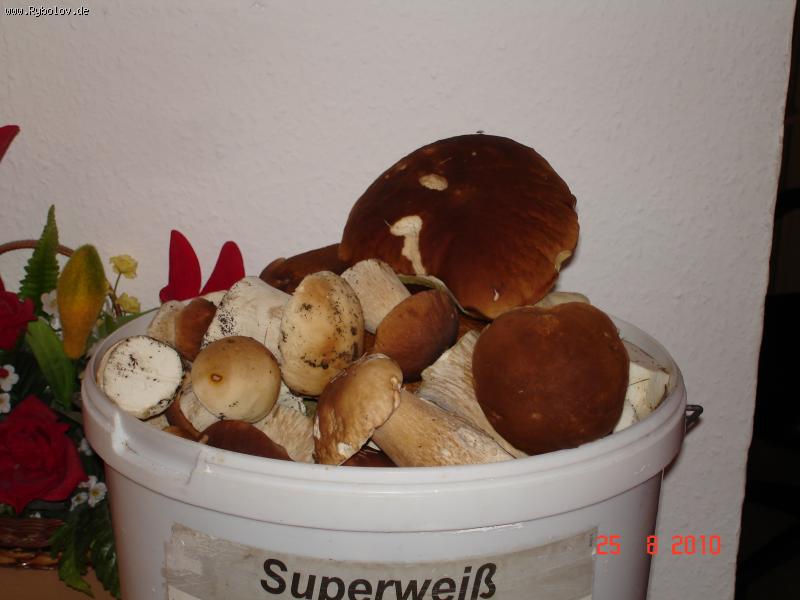 --��� ��� ��������� ����� ����. - ������� (����������)