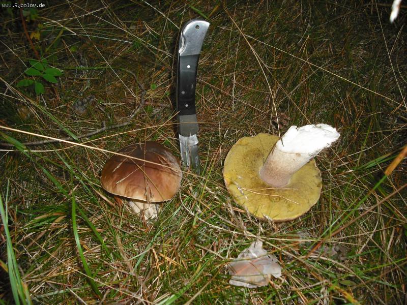 --������ � ������ ����� �����. - ������� (����������)