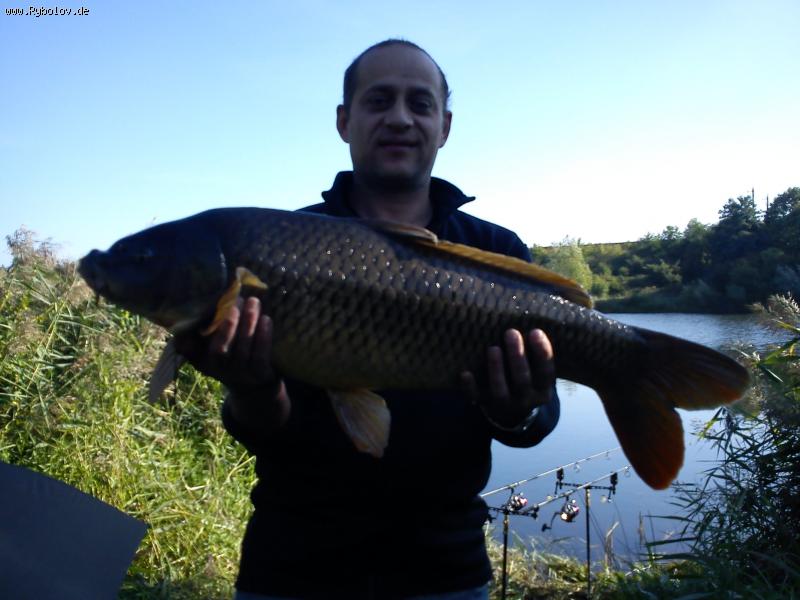 --������ - ������� (����������)