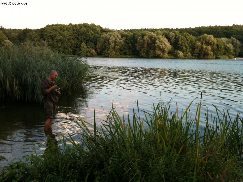 --������ ������� - ������� (����������)