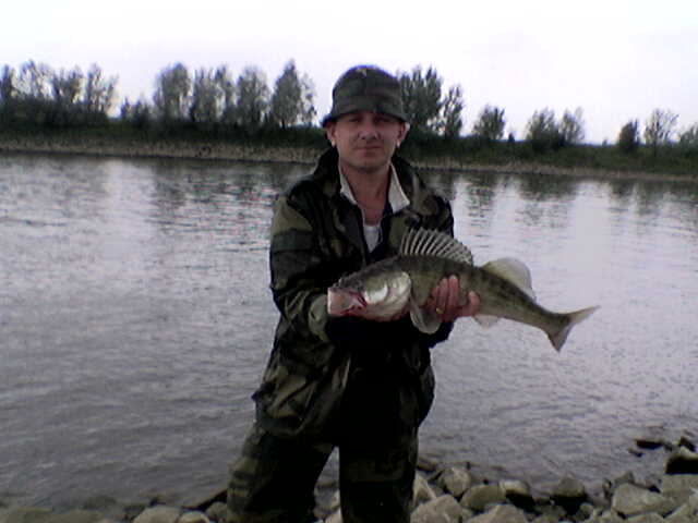 --� wesele �� ����������� - ������� (����������)