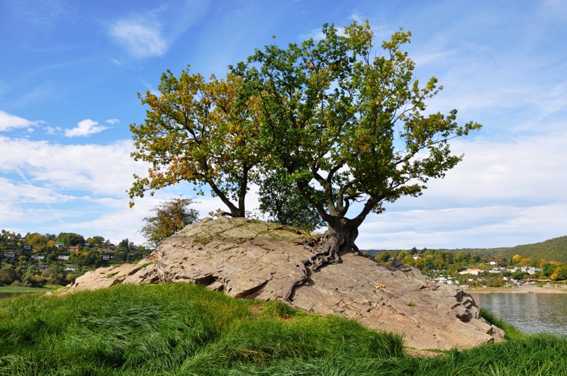 --Edersee 04.10 - ������� (����������)