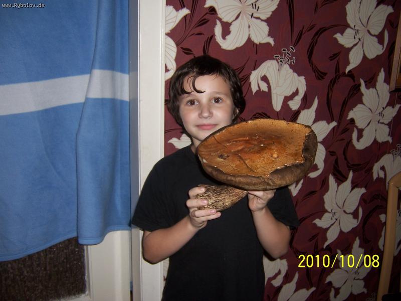 --ВОТ ТАК ГРИБОК - рыбалка (фотоальбом)