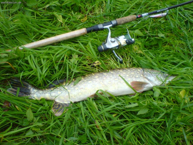 --����, �������� �� ����� ��� - ������� (����������)