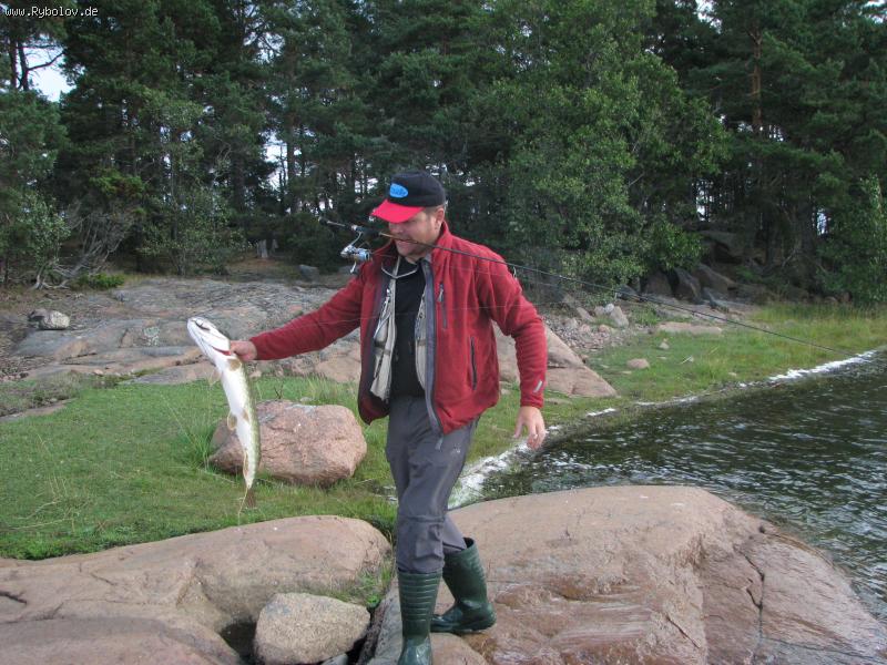 --� ����� ����! - ������� (����������)