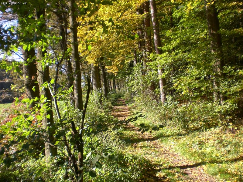 --������� ���. - ������� (����������)