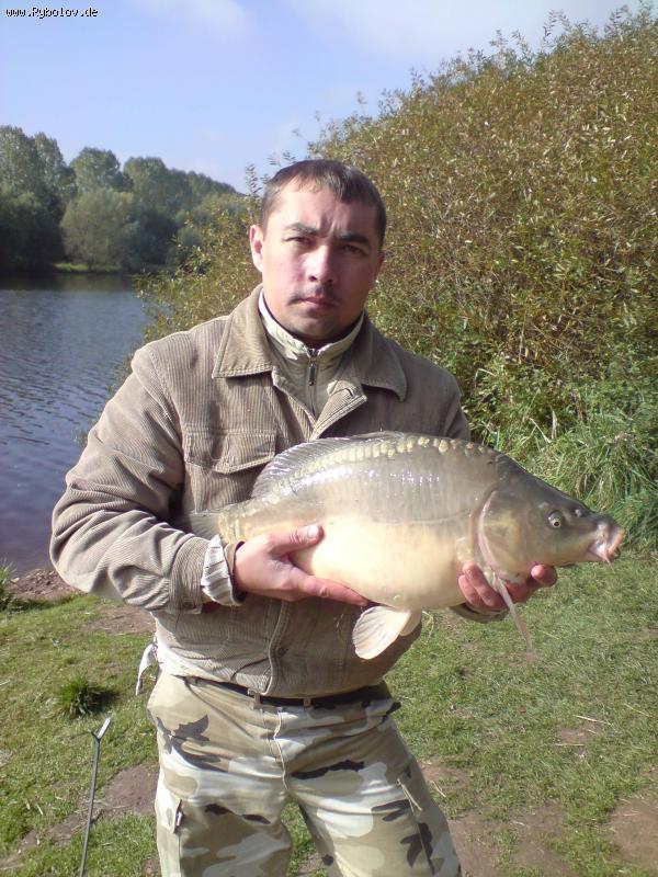 --������ 4,8 ���� . - ������� (����������)