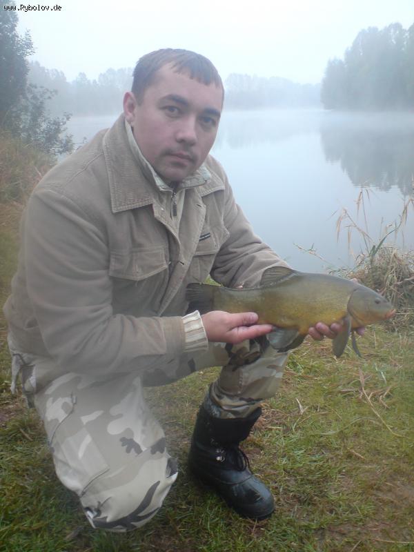 --����� - ������� (����������)