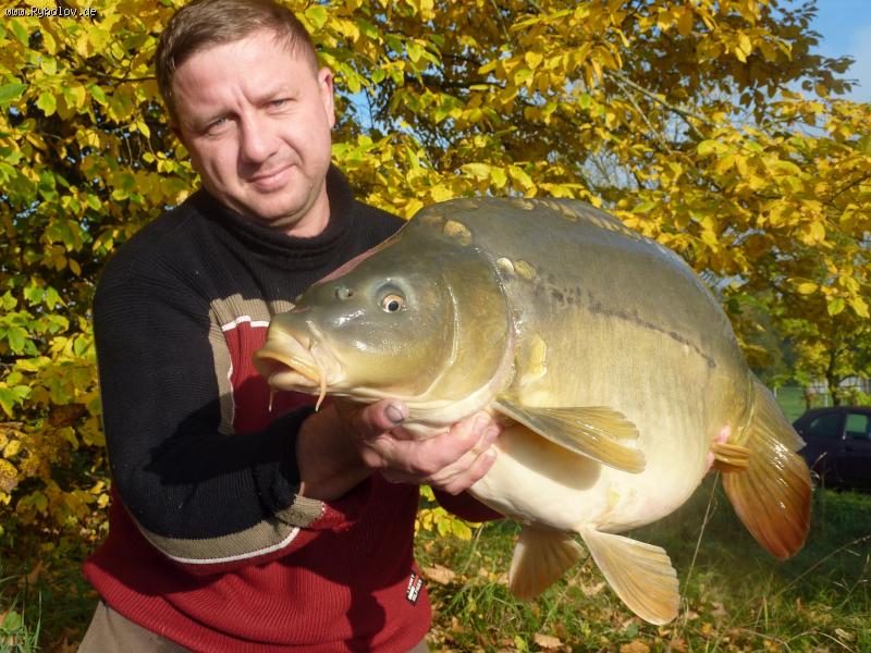 --���� - ������� (����������)