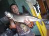 ������ 4.600 - ������� (����������)
