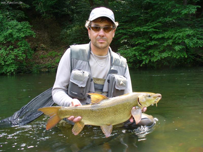 --������� �� � ���� �������! - ������� (����������)