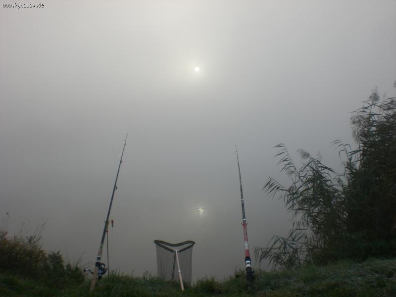 --Туманное утро на канале. - рыбалка (фотоальбом)