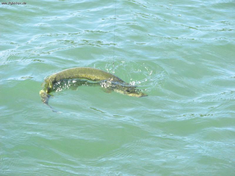 --�� ������. - ������� (����������)