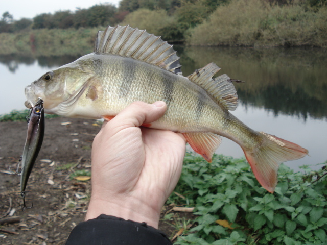 --� ��� � ������ - ������� (����������)