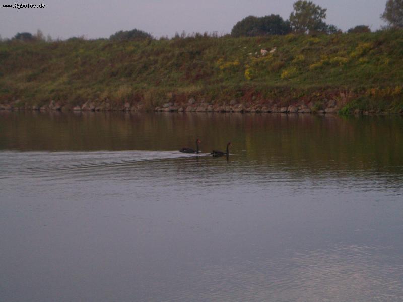 --� ������� - ������� (����������)