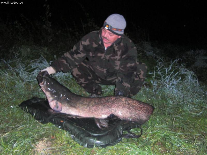 --��� 1,67 - ������� (����������)