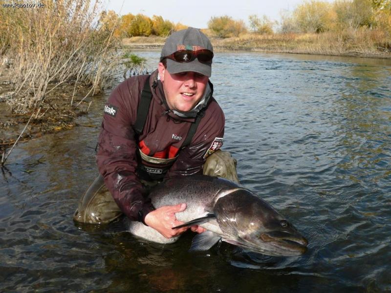 --��������, ������� . - ������� (����������)