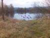 osterfeldsee - ������� (����������)
