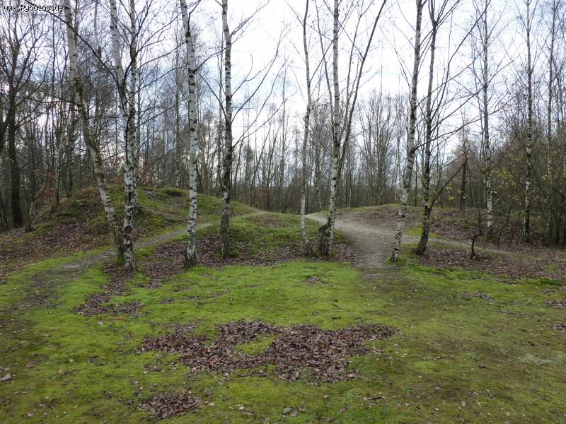 --���������� - ������� (����������)