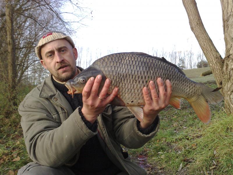 --���� � ������ - ������� (����������)