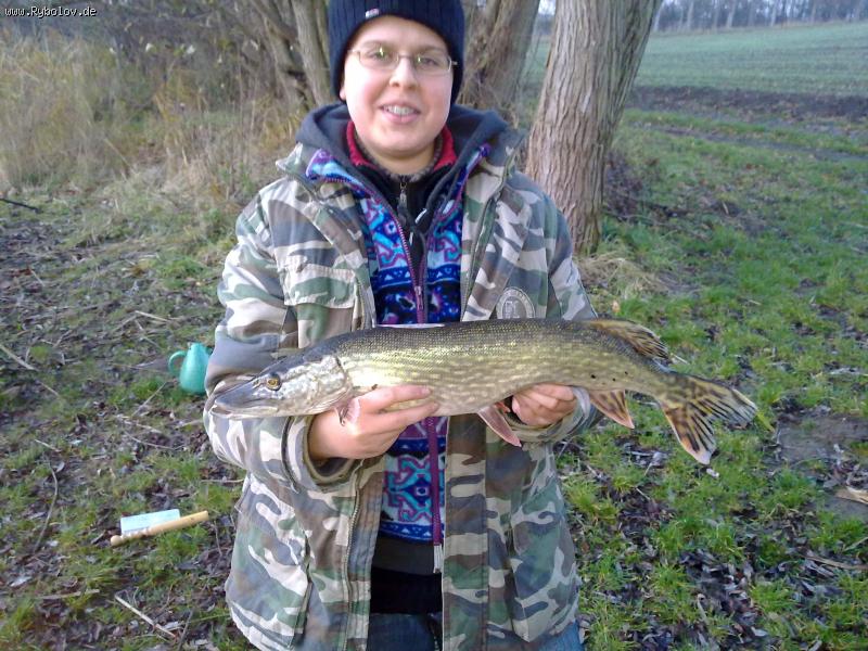 --����� - ������� (����������)