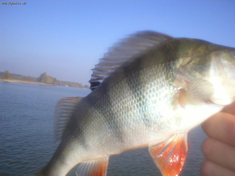 --����.����� - ������� (����������)