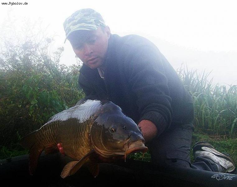 --���� - ������� (����������)