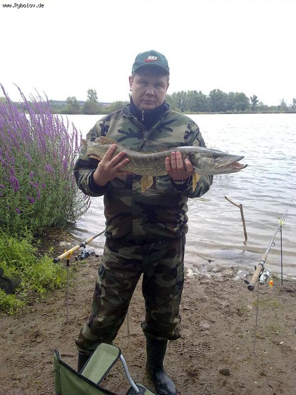 --����� ��� - ������� (����������)