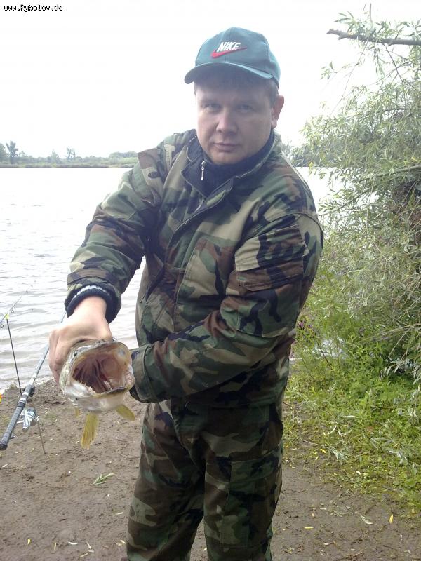 --������ ���!!! - ������� (����������)