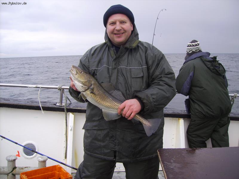 --������ ������ - ������� (����������)