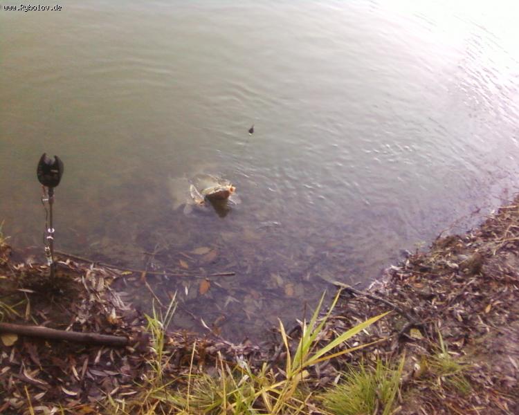 --������  ���� - ������� (����������)