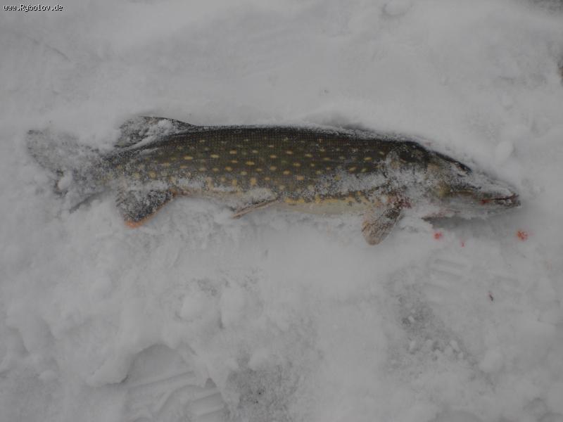 --���������!!!!! - ������� (����������)