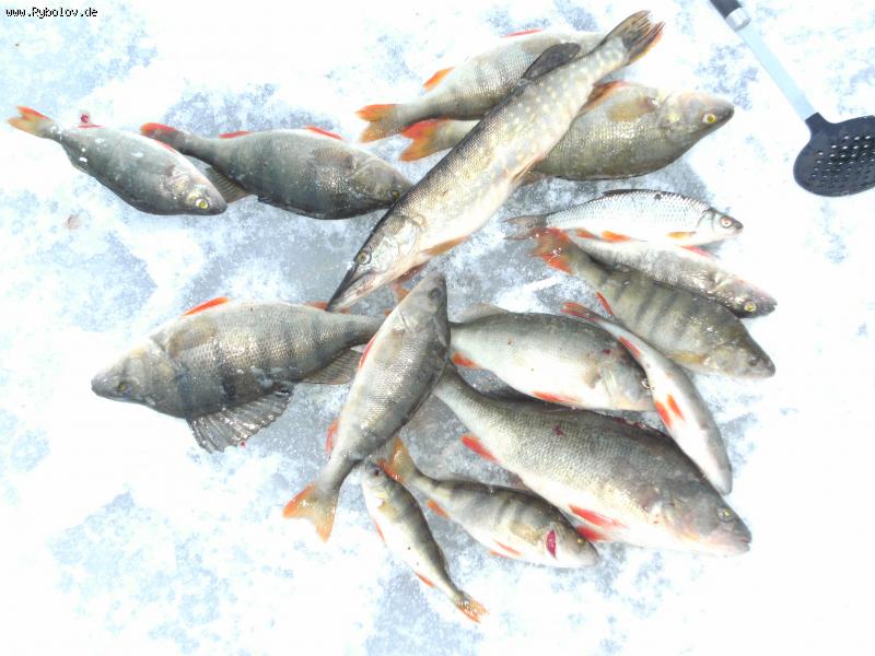 --Edersee - ������� (����������)