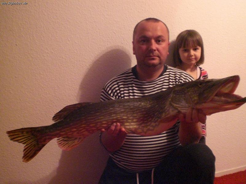 --����. - ������� (����������)