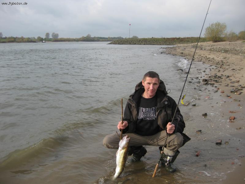 --   2010 . -  ()