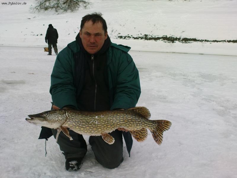 --Bleiloch 04.01.2011 - ������� (����������)